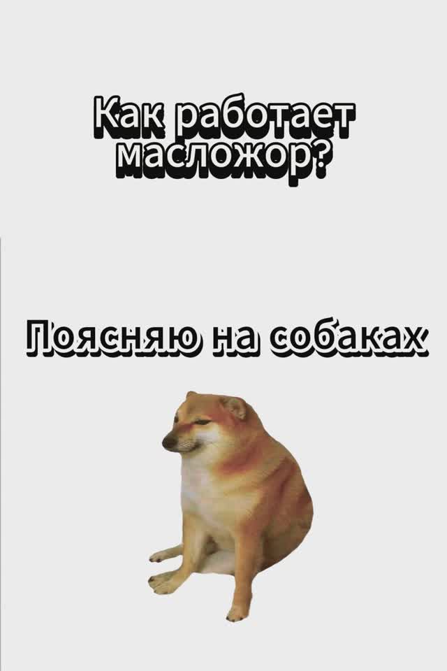 Поясняю на собаках