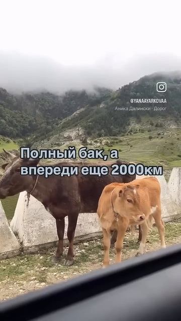 #дорога #дагестан #сулакскийканьон