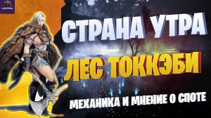 ЛЕС ТОККЭБИ ПОСЛЕ РЕБАЛАНСА☛МНЕНИЕ И МЕХАНИКА☛ Black Desert