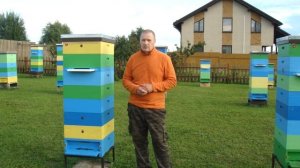 Когда нужно снимать последние магазины с улья.