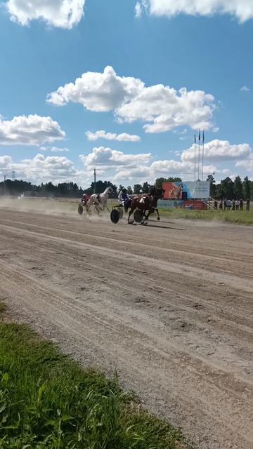 Курганский ипподром