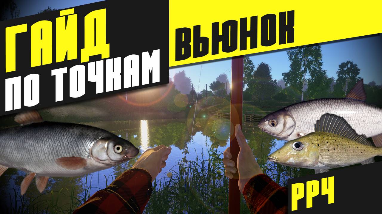 Гайд по Точкам на Вьюнке