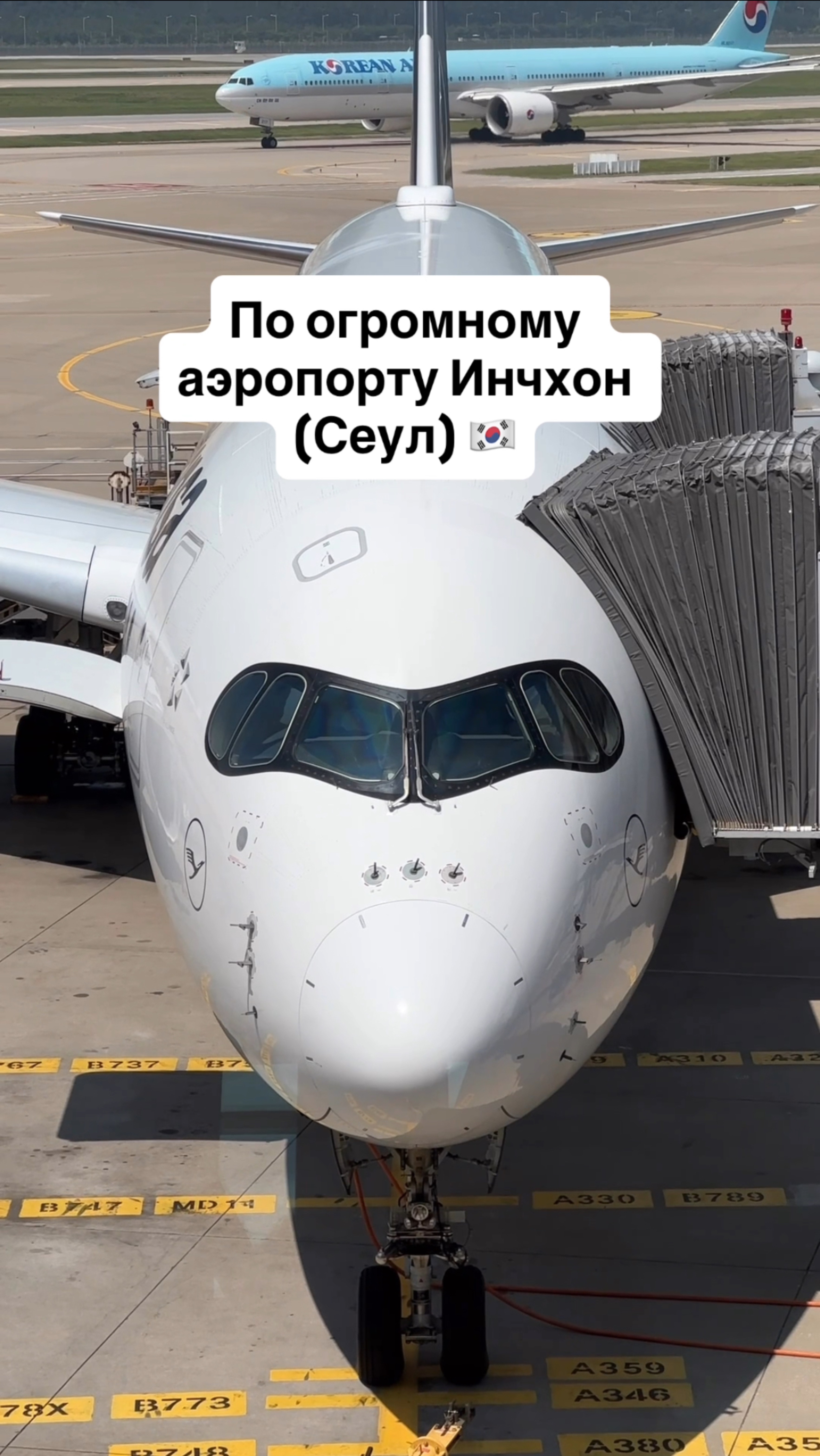 Как выглядит огромный Терминал 1 Международного аэропорта Инчхон (Сеул) смотреть онлайн