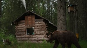 МЕДВЕДЬ ХОДИТ ВОКРУГ ИЗБЫ. НАШЁЛ КОВАНЫЙ НОЖ! ЖИВУ В ТАЙГЕ. ОБ ОХОТНИЧЬЕЙ ИЗБЕ ЦАРСКОГО ВРЕМЕНИ.