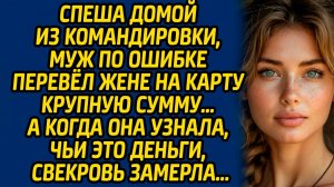 Спеша домой из командировки, муж по ошибке перевел жене на карту крупную сумму… А когда она узнала..