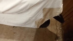 Мопеды сериал | Серия 1553