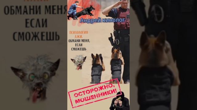 Продлеватели 404 смотреть онлайн