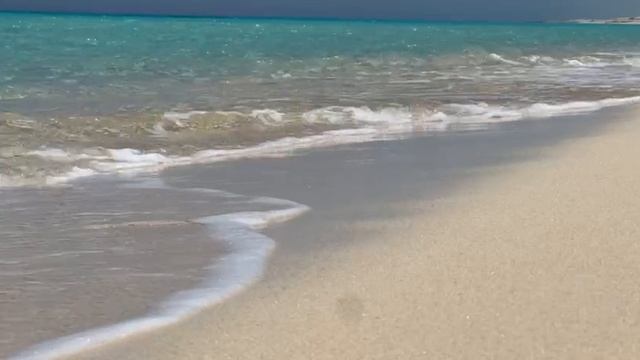 Tempus Fugit, Memoria Manet..