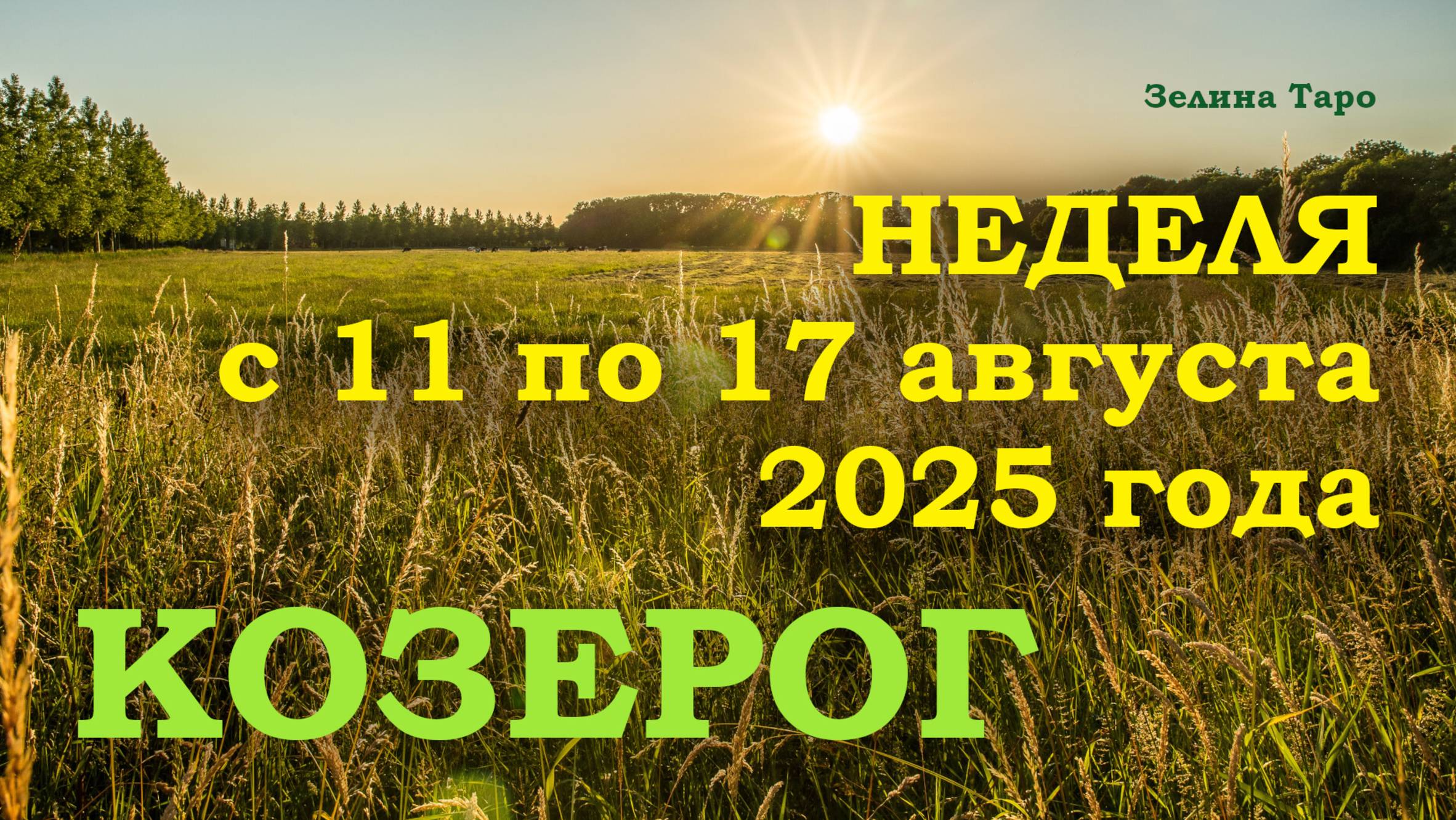 КОЗЕРОГ | ТАРО прогноз на неделю с 11 по 17 августа 2025 года
