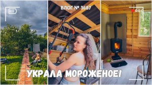 Она украла мороженое! | Краска кончилась | Стригу газон - ВЛОГ №3688 - 08.08.25