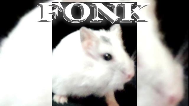 Gem no pique (FONK) смотреть онлайн