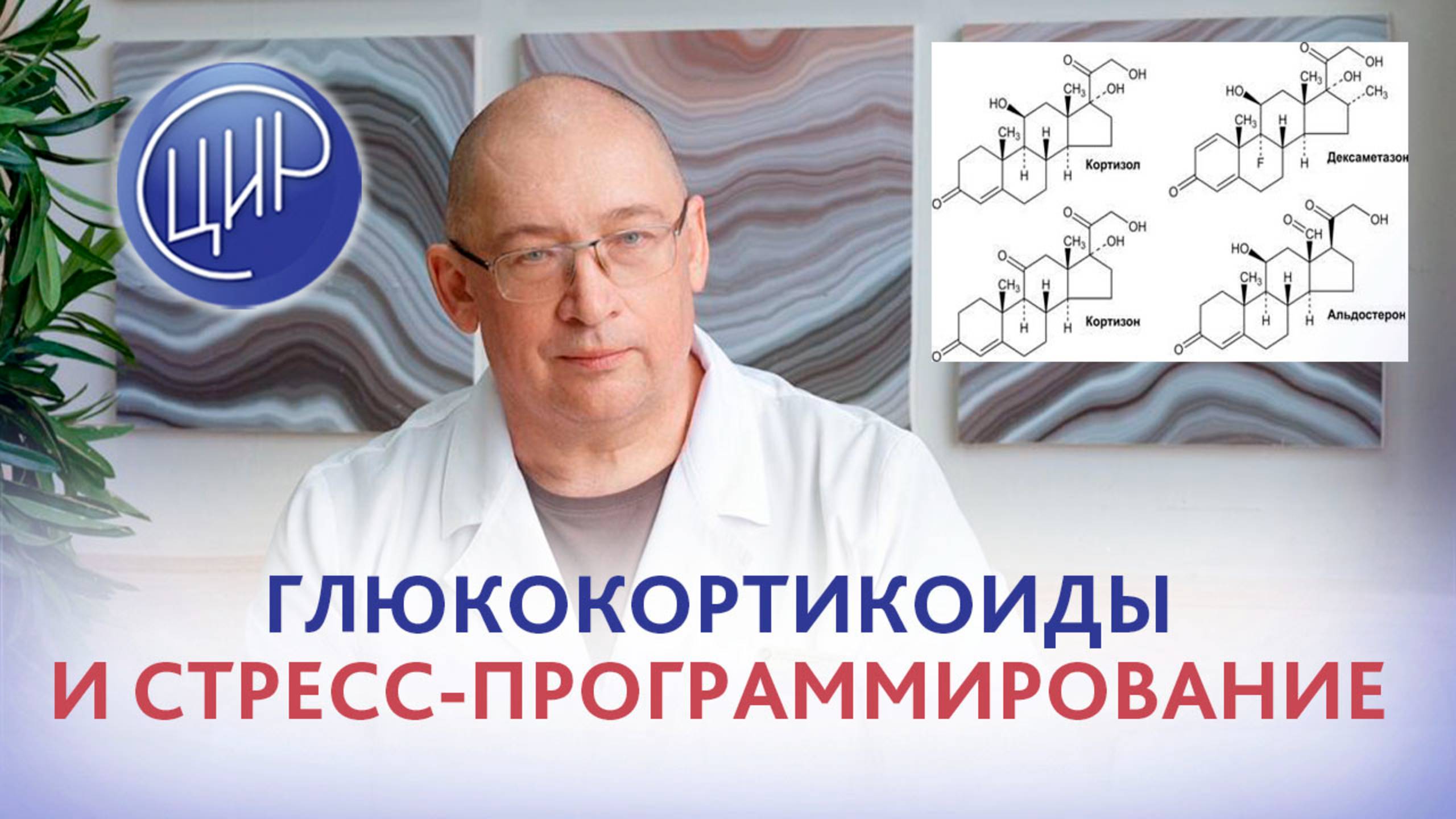 Глюкокортикоиды при беременности и их влияние на здоровье ребёнка в будущем. смотреть онлайн