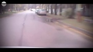 Видео, которое должны посмотреть не только водители, но и пешеходы ! 720p