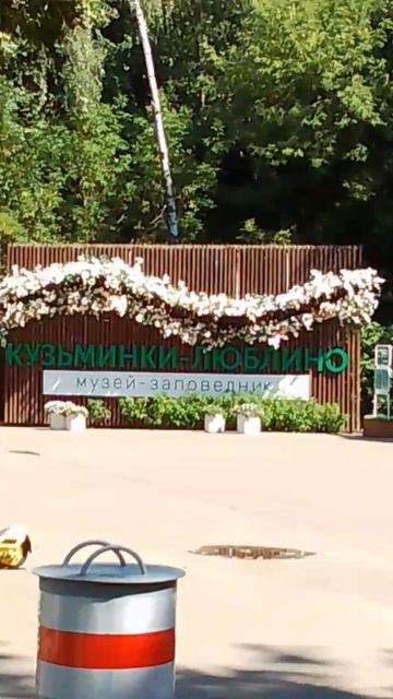 В парке летом беззаботных отдых смотреть онлайн