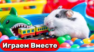 ПОДБОРКА КРУТЫХ ЛАБИРИНТОВ С ЛОВУШКАМИ ДЛЯ УМНОГО ХОМЯКА 🐹 ВИДЕО ДЛЯ ДЕТЕЙ