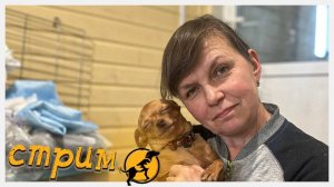 Вечерний стрим, отвечаем на ваши вопросы, делимся новостями 8.08.2025