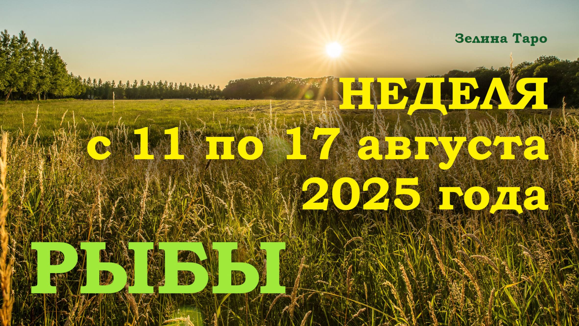 РЫБЫ | ТАРО прогноз на неделю с 11 по 17 августа 2025 года