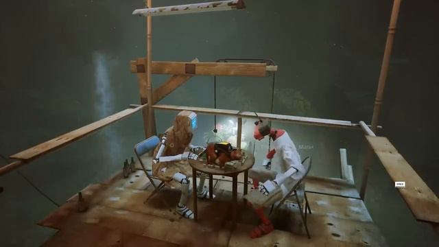 Стрей перпетуум