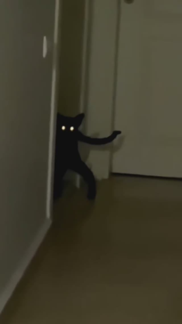 Видео для смеха. Хорошее настроение) смотреть онлайн