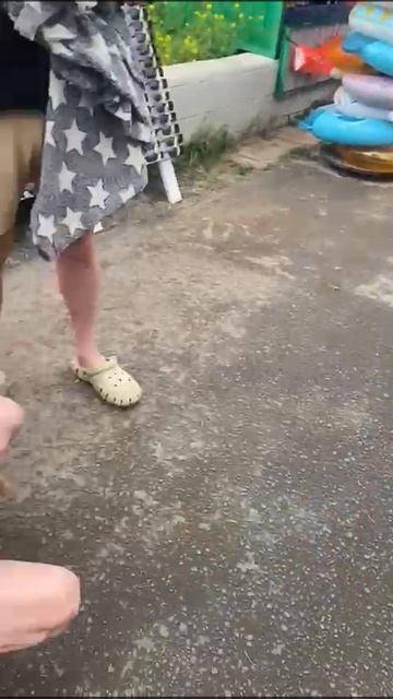 Забавный Ушастик🐶❤ смотреть онлайн