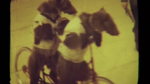 Горьковский цирк. Конец 60-х. смотреть онлайн