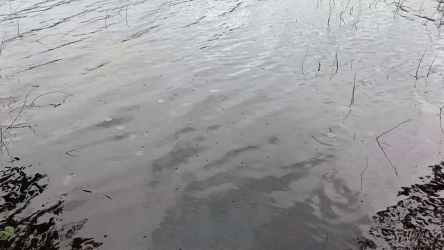 Когда природа зовёт: наш походный дневник.