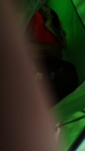 Я в лесу 5 смотреть онлайн