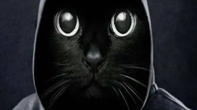 Оскорбление по ФОРМЕ от ППС Московский