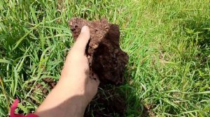 Съездил на металла коп, находки есть.