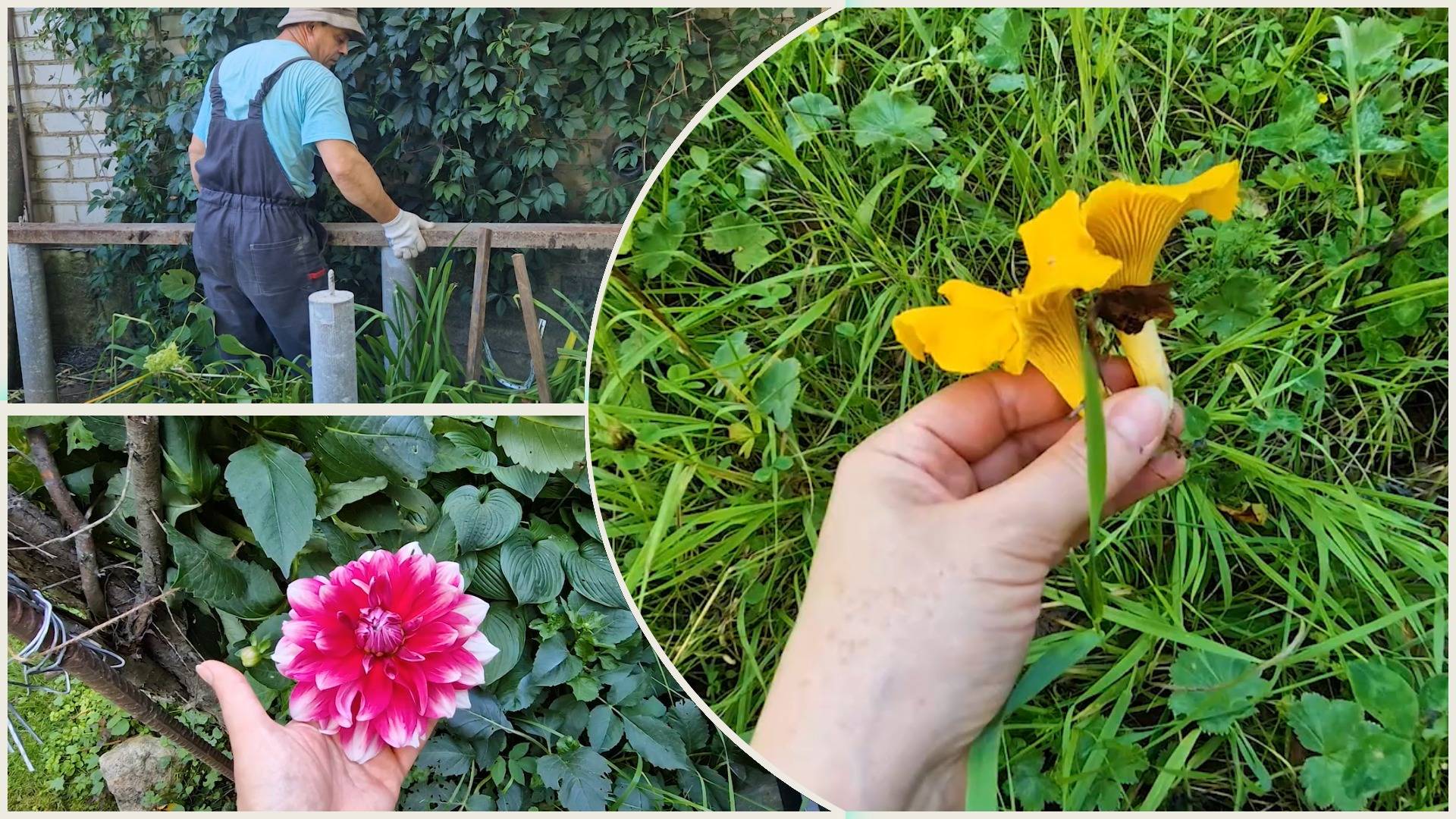 Строим веранду. Укладка швеллеров. Набрали толстоногих лисят на жарёху! смотреть онлайн