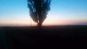 VID_20250809_200708.mp4