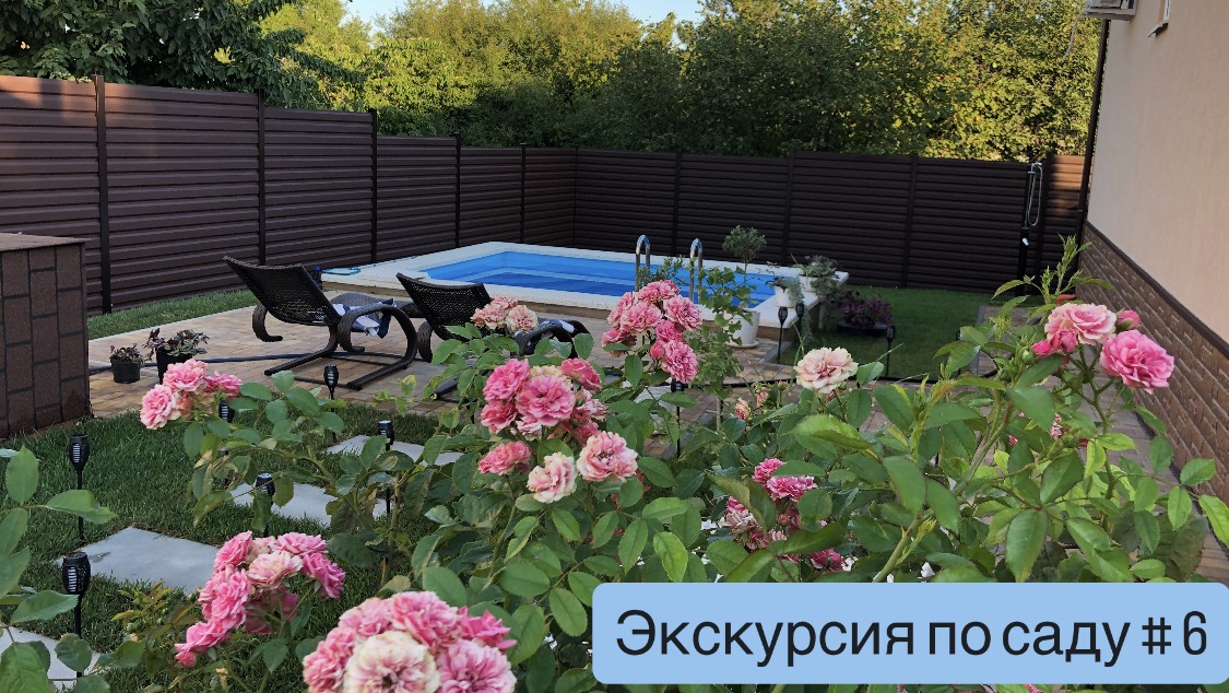 Экскурсия по саду # 6. Уложен газон, заполнен бассейн, в саду цветёт роза, гибискус, бугенвиллея смотреть онлайн
