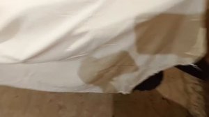 Мопеды сериал | Серия 1536