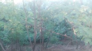 VID_20250809_180146.mp4