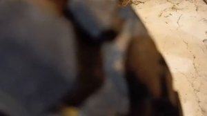 Мопеды сериал | Серия 1594