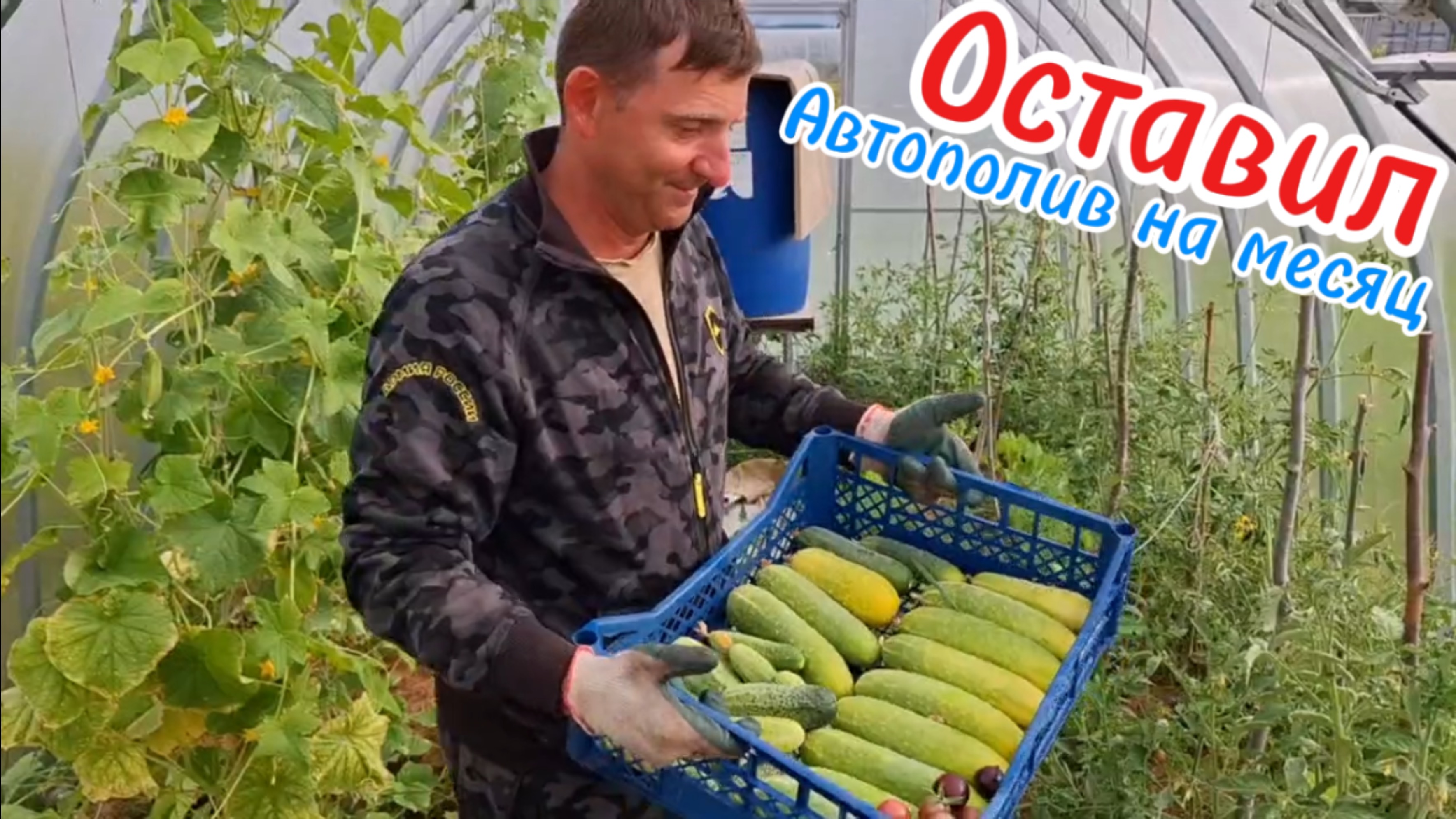 Мир технологий