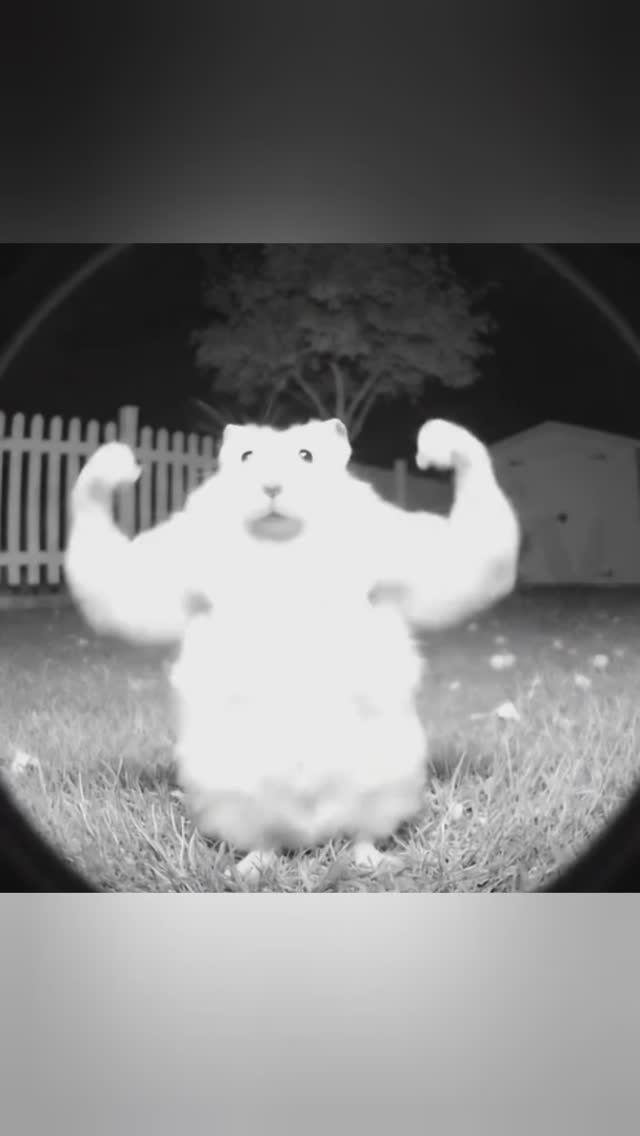 Смешные видео на каждый день) смотреть онлайн