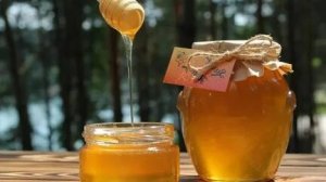 Проверка мёда на натуральность в домашних условиях