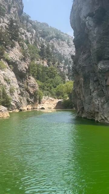 ТВОЯ ЦЕННОСТЬ В ЭТОМ МИРЕ