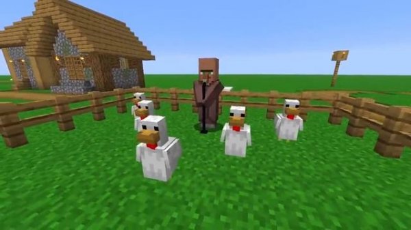 I made Chickens dance to 🎶 Lava Chicken in Minecraft