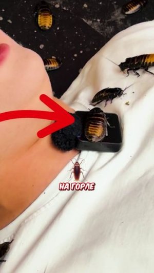 ПОБОРОЛ СТРАХИ