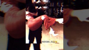 цыганская🫂 песня
 мэ пала тут ❤😘пала тут