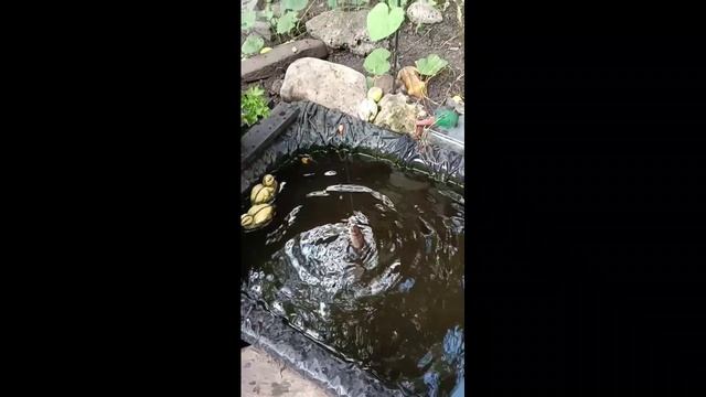 Летом на зимней рыбалке