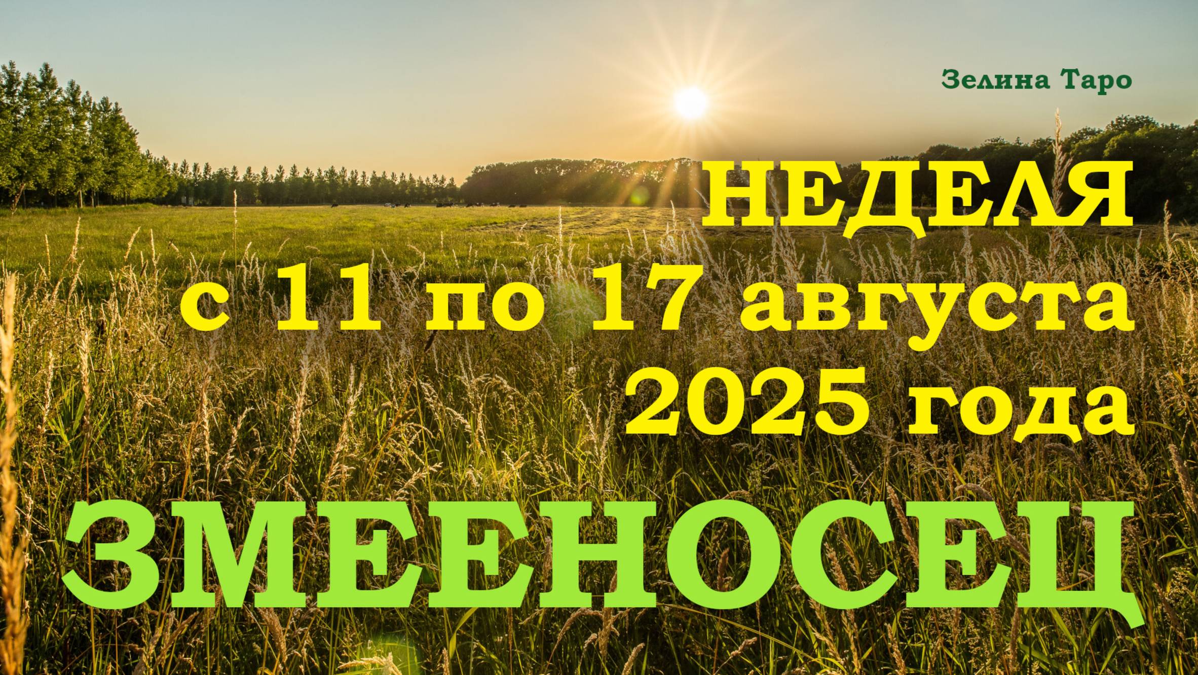 ЗМЕЕНОСЕЦ | ТАРО прогноз на неделю с 11 по 17 августа 2025 года