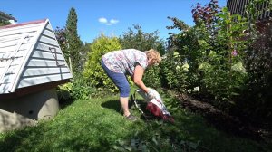 Влог. Горячая пора.