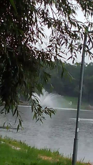 Живописная ива смотреть онлайн