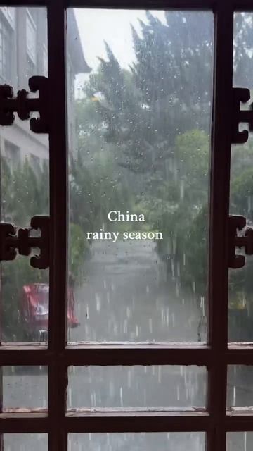 #china#studyinchina#учебавкитае#fyp