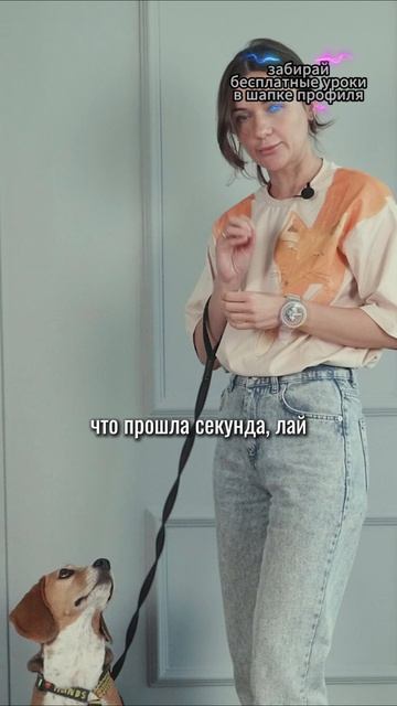 🎁Бесплатные уроки. Жми сюда! смотреть онлайн