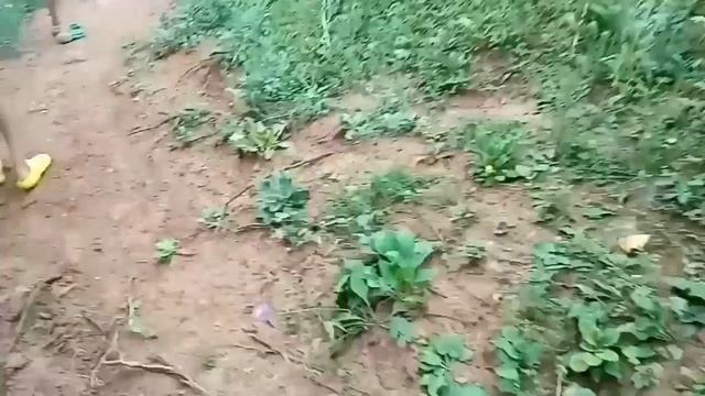 Прогулка в деревне