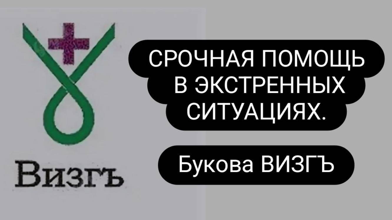 Букова Визгъ #буковы #буковавизг #срочнаяпомощь смотреть онлайн